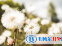 阿壩2022年怎樣查詢中考成績(jī)