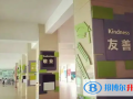 深圳青之藤國際學校2023年入學條件
