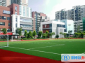 深圳青之藤國際學校怎么樣