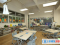 深圳觀瀾湖國際學校怎么樣