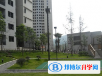 成都市金牛中學校2025年招生辦聯系電話