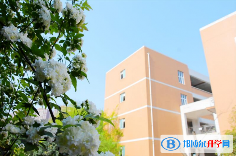 成都七中實驗學校(初中部)2022年招生聯(lián)系電話