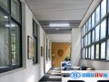 上海七寶德懷特高級中學2023年招生政策