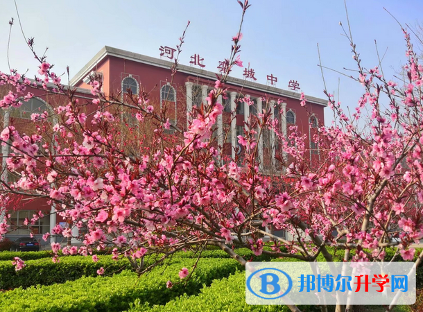 河北欒城中學2023年招生錄取分數線