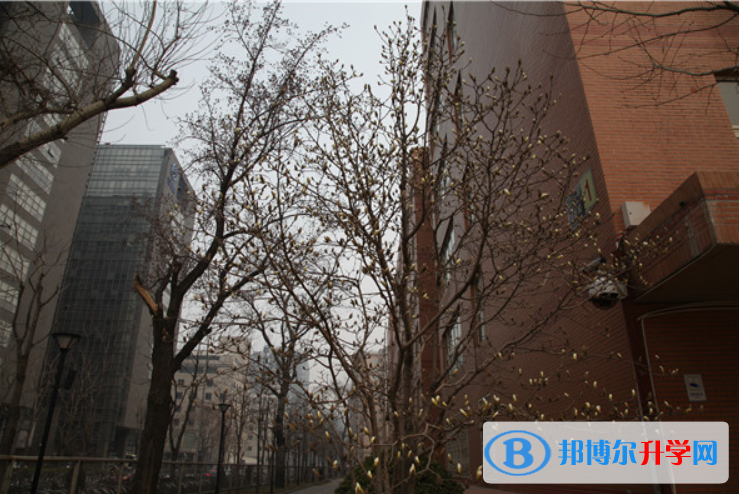 北京第八中學(xué)2023年招生代碼
