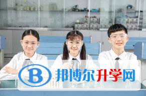 深圳科愛賽國際學(xué)校2023年學(xué)費標(biāo)準(zhǔn)