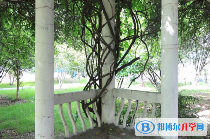 南京大廠高級中學2023年地址在哪里