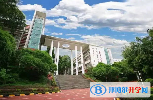 深圳桃源居中澳實驗學校2023年入學條件