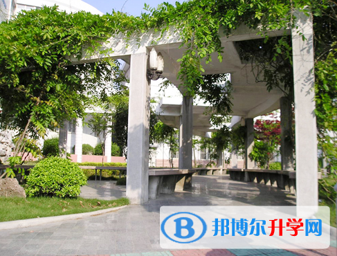 合肥第十中學2023年報名條件、招生要求、招生對象