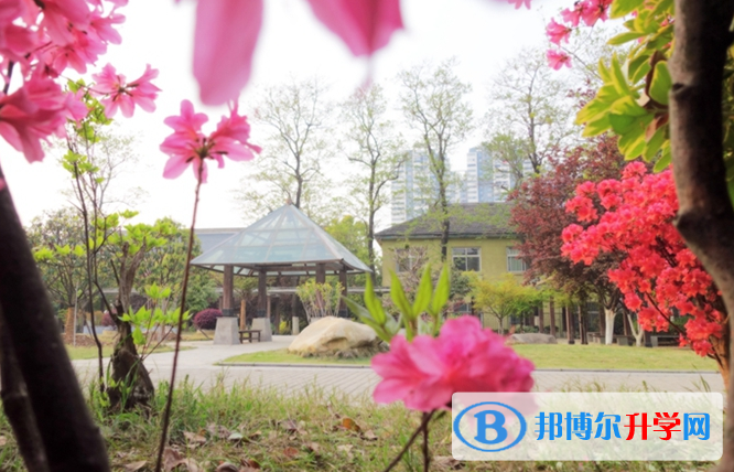 合肥一六八中學2023年網站網址 