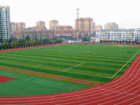 合肥第三十五中學2023年招生錄取分數線