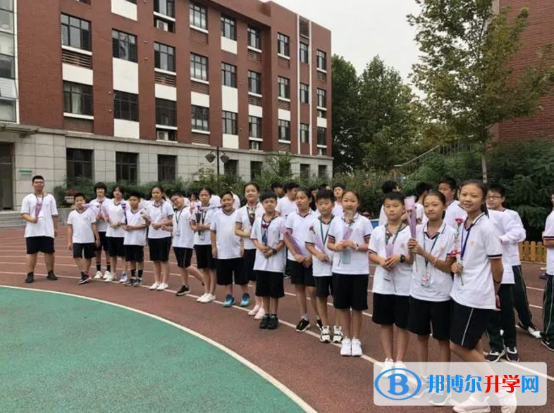 天津泰達楓葉國際學校2023年招生政策