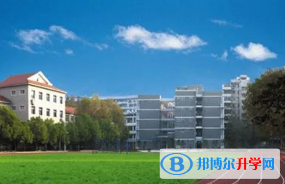 新洲區中考2022錄取分數線