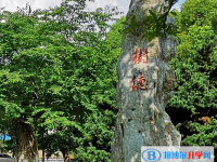 安徽銅陵第三中學(xué)2025年學(xué)費(fèi)、收費(fèi)多少