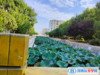 亳州蒙城第一中學網(wǎng)站網(wǎng)址主頁