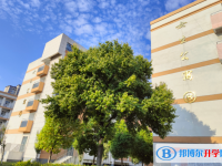 亳州蒙城第一中學怎么樣、好不好