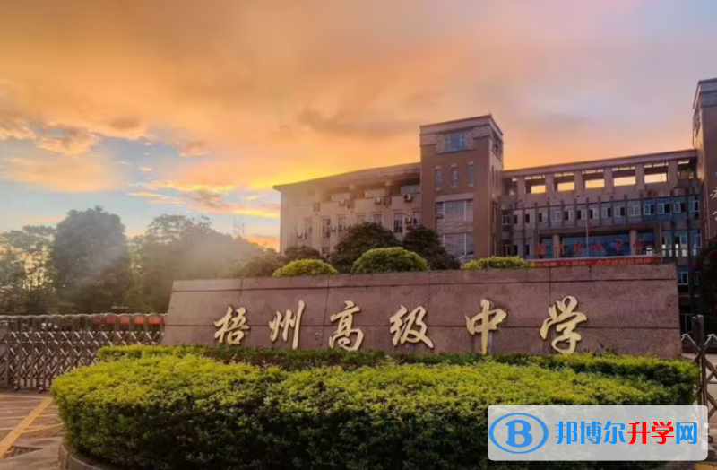 梧州高中所有學校高考成績排名