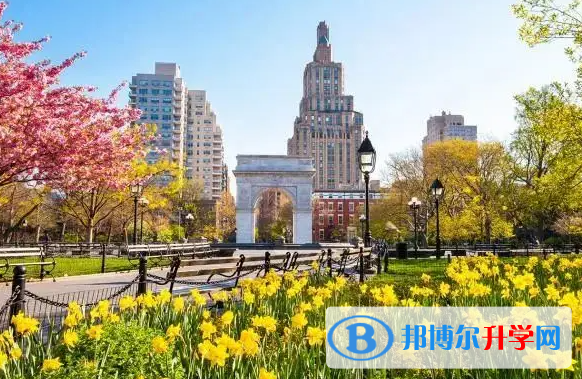 2023阜陽中考?xì)v史滿分是多少?