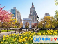 2025阜陽中考?xì)v史滿分是多少？