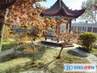 安徽蕭城第一中學(xué)網(wǎng)站網(wǎng)址主頁(yè)