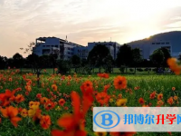 2025蕪湖中考道德與法制滿分是多少？