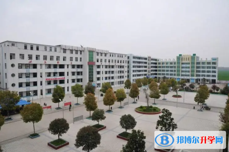 利辛啟明高級中學、啟明東方中學錄取分數線（2023年參考）