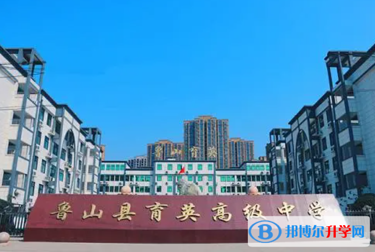 魯山縣育英高級中學錄取分數線(2023年參考)