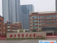 新鄉(xiāng)市育才高中、美術(shù)高級中學(xué)錄取分?jǐn)?shù)線(2023年參考)