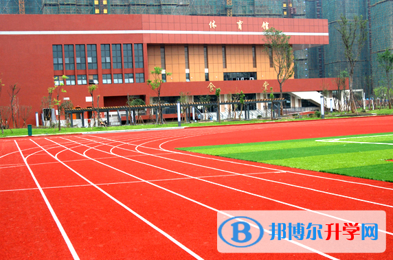 2022綿陽中考各高中錄取分數線(2023參考)