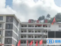 2022樂業高中錄取分數線（2023參考）