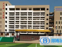 2022田東實驗高中錄取分數線（2023參考）