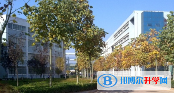 2022伊川縣伊河高中錄取分數(shù)線（2023參考）