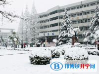 安徽師范大學(xué)附屬中學(xué)2025年學(xué)費(fèi)、收費(fèi)多少