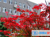 浙江省平湖中學(xué)2025年學(xué)費(fèi)、收費(fèi)多少