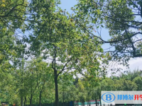 2022監利市外國語學校錄取分數線(2023參考)