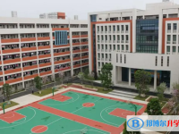 2022博羅綜合高級中學、京師薈成學校錄取分數線(2023參考)