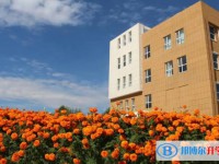 尚義一中錄取分數(shù)線(2023年參考)