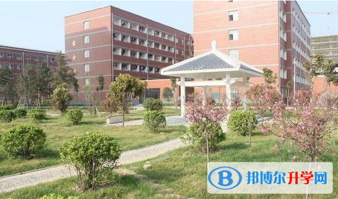 周口市文泰高級中學(xué)2022錄取分?jǐn)?shù)線（2023參考）