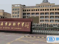臨海市杜橋中學錄取分數線(2023年參考)