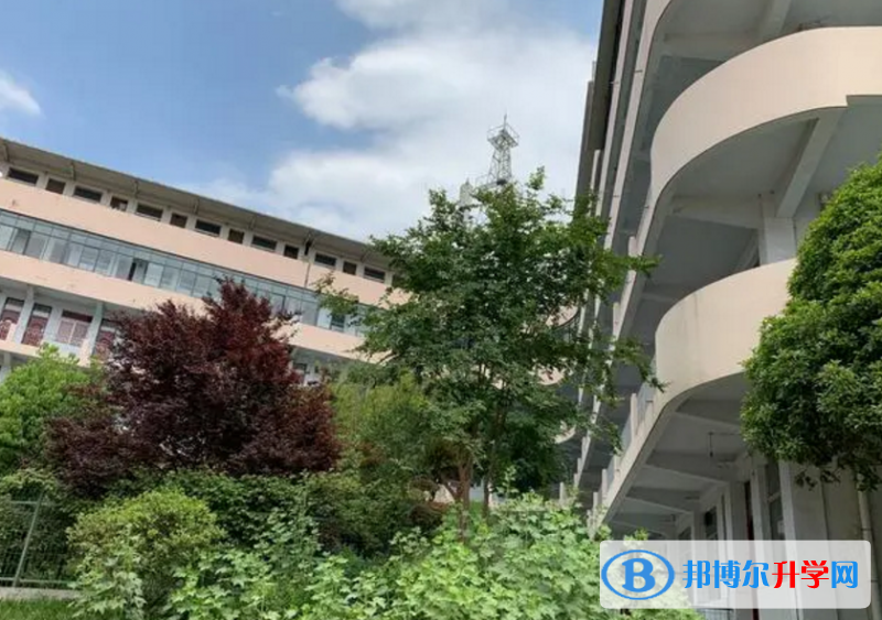 桐柏中招錄取分數(shù)線(2023年參考)