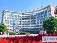 2025廣州大學附屬中學招生計劃 招生人數是多少(附要求、條件、對象)