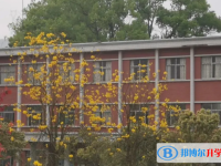 博羅縣博羅中學歷年招生分數線一覽表(2025參考)