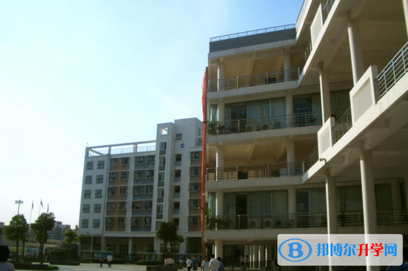 2023深圳市教苑中學招生計劃 招生人數是多少(附要求、條件、對象)
