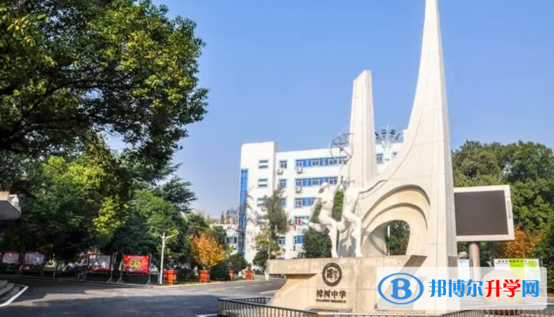 2023年樟樹招生錄取分?jǐn)?shù)線
