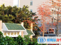 汕頭經(jīng)濟特區(qū)林百欣中學地址，乘車路線
