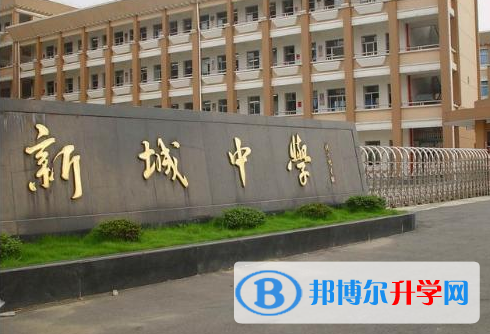 2023廣州市番禺區(qū)洛溪新城中學(xué)招生計劃 招生人數(shù)是多少(附要求、條件、對象)