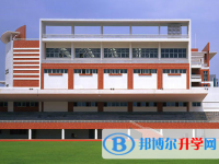 2025廣州市華師附中番禺學校多少錢(學費明細)