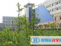 河北徐水綜合高級中學地址，乘車路線