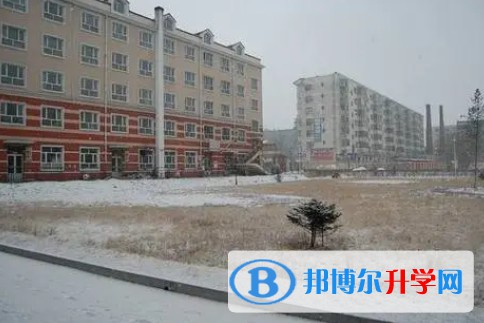 樺南縣第二中學(xué)地址，乘車路線