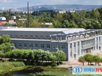 2025七臺河市第二中學多少錢(學費明細)